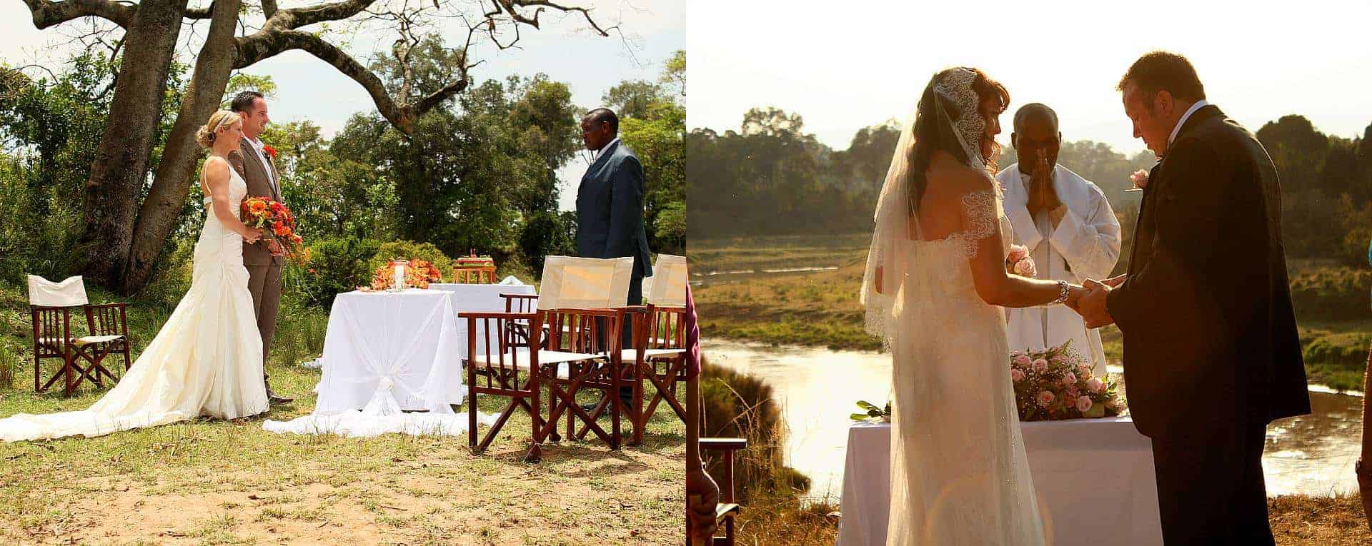 Safari chairs for weddings cheap