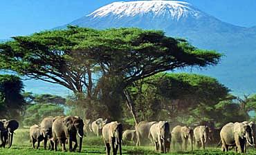 AMBOSELI NATIONAL PARK