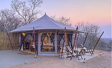 KICHAKA FRONTIER - RUAHA SAFARI FROM SERENGETI