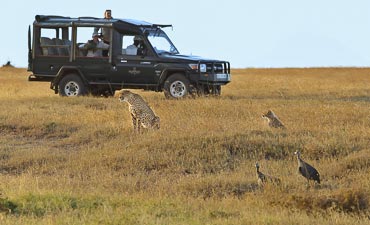 KICHECHE SAFARIS (8 TO 10 DAYS)