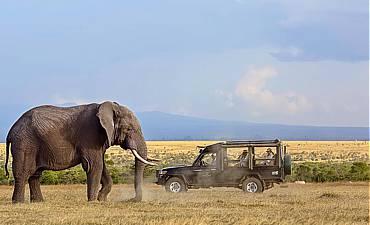 DELUXE TIER 2 - KICHECHE HIGHLIGHTS OF KENYA SAFARI (10 DAYS)