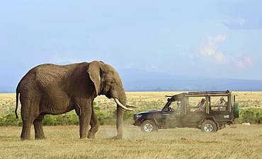 DELUXE TIER 2 - KICHECHE HIGHLIGHTS OF KENYA SAFARI (10 DAYS)