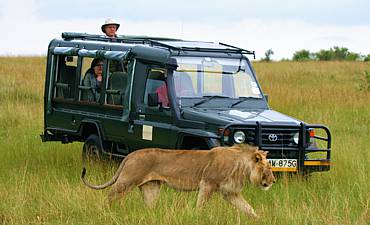 DELUXE TIER 2 - KICHECHE ACTIVE ADVENTURE KENYA SAFARI (8 DAYS)