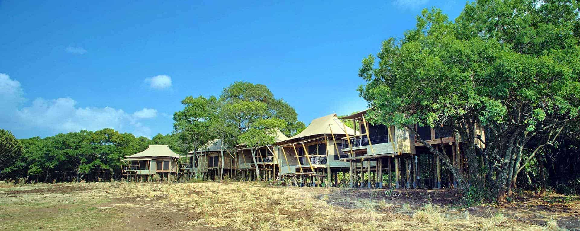 kichwa tembo camp kichwa tembo camp