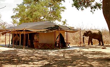 KIGELIA CAMP - RUAHA SAFARI FROM SERENGETI