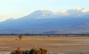 GUIDE ON MOUNT KILIMANJARO PARK