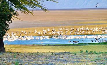 BEST TIME TO VISIT LAKE EYASI 