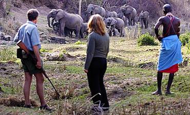 WALKING SAFARIS IN KENYA