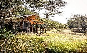 PLACES TO STAY IN SERENGETI