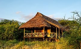 safari tanzanie tarangire