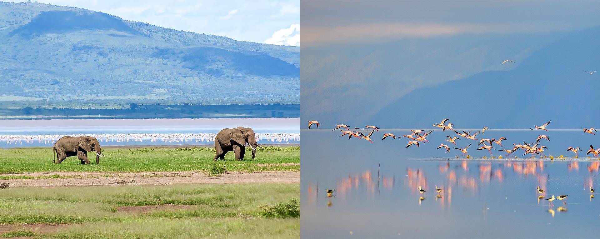 lakemanyarakilimamojalodge9