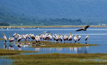 LAKE MANYARA NATIONAL PARK