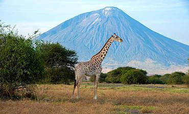 BEST TIME TO VISIT LAKE NATRON 