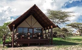 ndutu safari lodge contacts