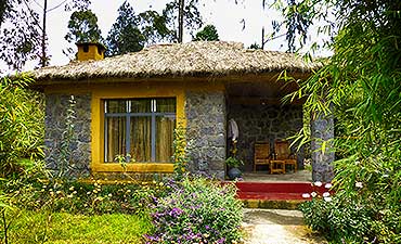 kibosafaricampsmall1 LE BAMBOU GORILLA LODGE