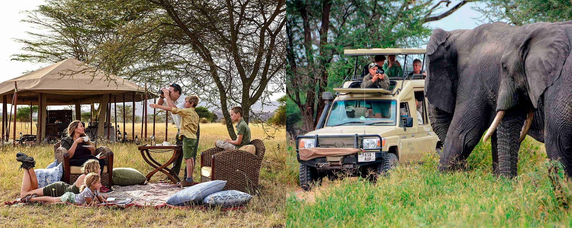 Nyasi Migrational Camp, Serengeti National Park, Tanzania