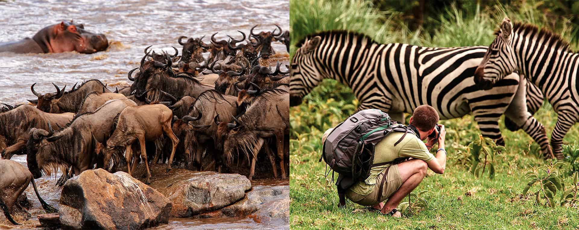 Nyasi Migrational Camp, Serengeti National Park, Tanzania