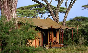 SOUTHERN SERENGETI ACCOMMODATIONS