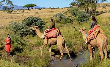 BUSH & BEYOND SAFARIS (7 TO 11 DAYS)