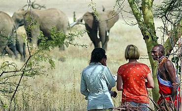 WALKING SAFARIS IN AFRICA