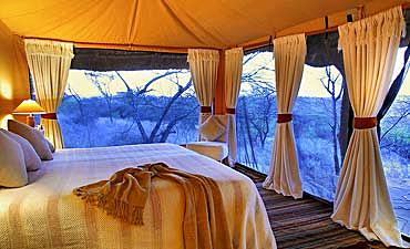 ELEWANA LEWA SAFARI CAMP - LAIKIPIA SAFARI FROM NAIROBI