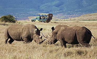 ELEWANA KENYA SAFARIS (8 TO 15 DAYS)