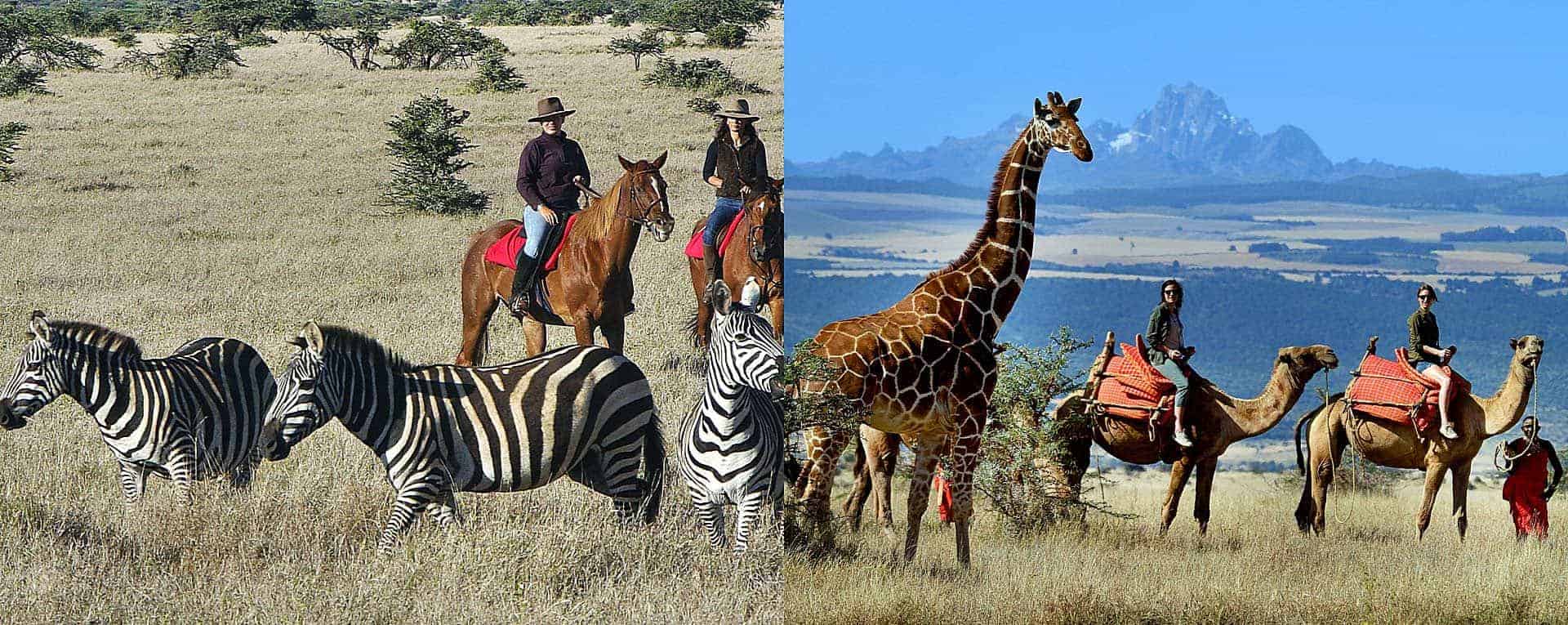 why should you visit kenya