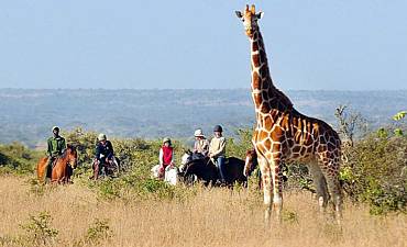 HORSEBACK SAFARIS IN AFRICA