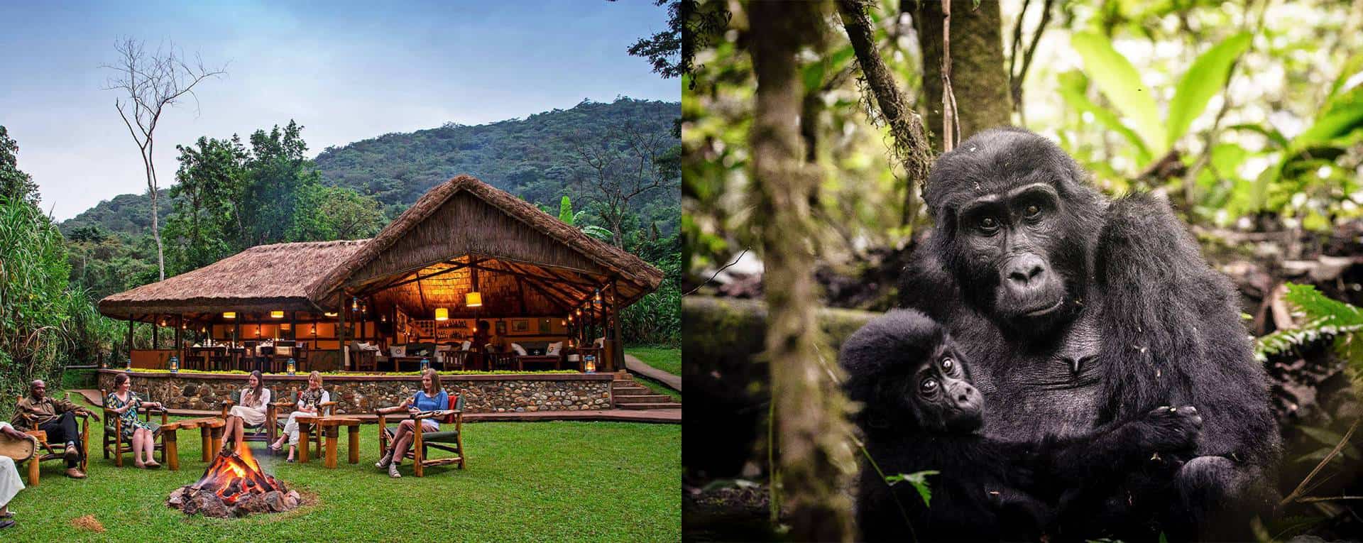 luxury safaris in uganda