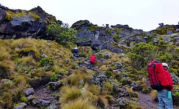 KILIMANJARO SAFETY CLIMB GUIDE