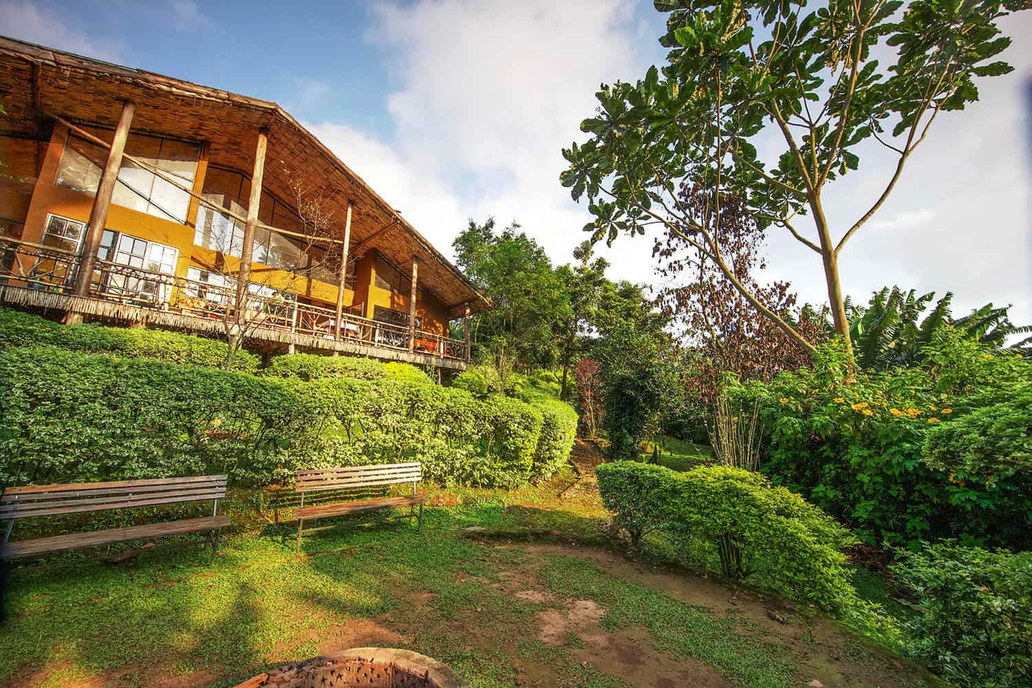 Mahogany Springs Bwindi Park View