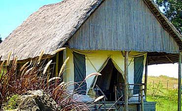 lake nakurugamewatcherscampsmall1 MAILI SABA CAMP