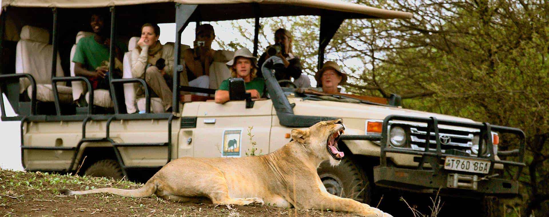 Tanzania Family Safari Experience With AfricanMecca Safaris