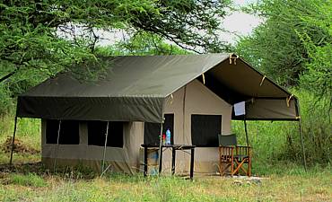 MANYARA RANCH TENTED CAMP MANYARA RANCH TENTED CAMP
