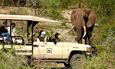 FAMILY SAFARIS IN TANZANIA