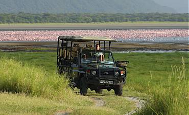 3 DAYS - LAKE MANYARA SAFARI FROM ARUSHA