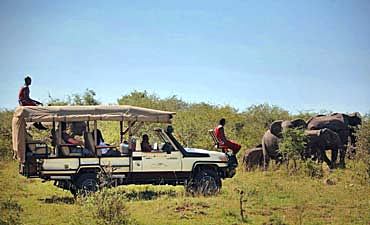 BUSHTOPS TANZANIA SAFARIS (9 TO 13 DAYS)