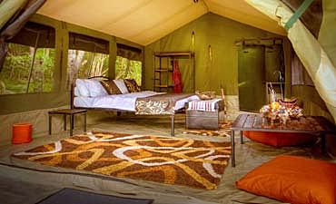 MARA EDEN SAFARI CAMP MARA EDEN SAFARI CAMP