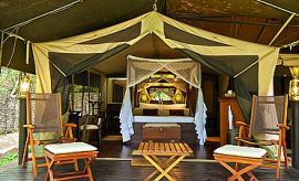 masai mara safari best time to go