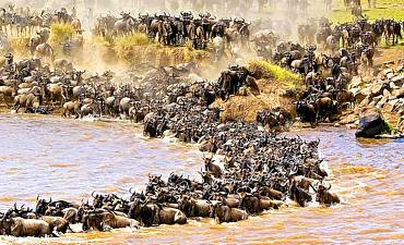 DELUXE TIER 2 - KENYA & TANZANIA WILDEBEEST MIGRATION SAFARI - 10 DAYS