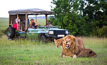 ULTRA-LUXURY KENYA SAFARIS (5 TO 11 DAYS)