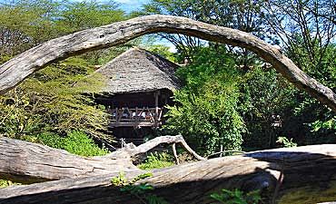 marasimbalodgesmall1 MARA SIMBA LODGE