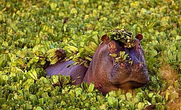 NORTHERN MASAI MARA ACCOMMODATIONS