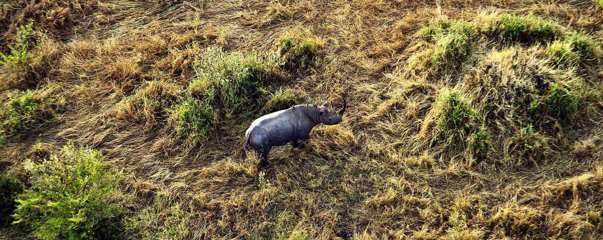 masai mara tour cost