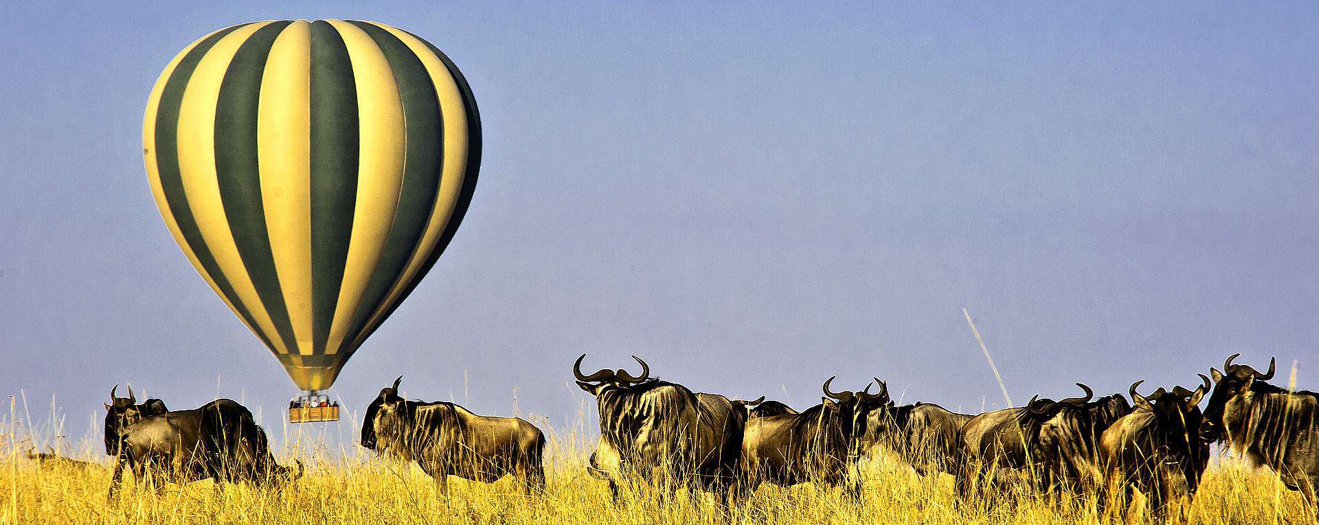 masai mara tour cost