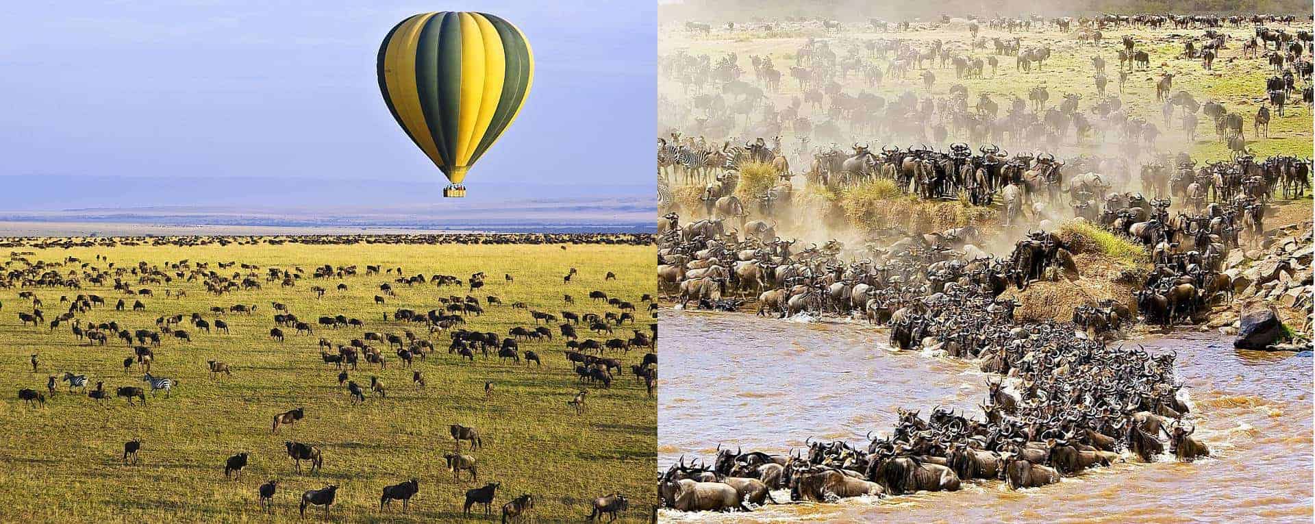 Our Top 5 Mobile Camps to Experience the Great Migration