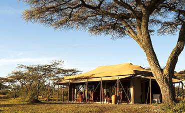 NDUTU UNDER CANVAS