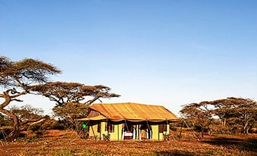 PLACES TO STAY IN SERENGETI