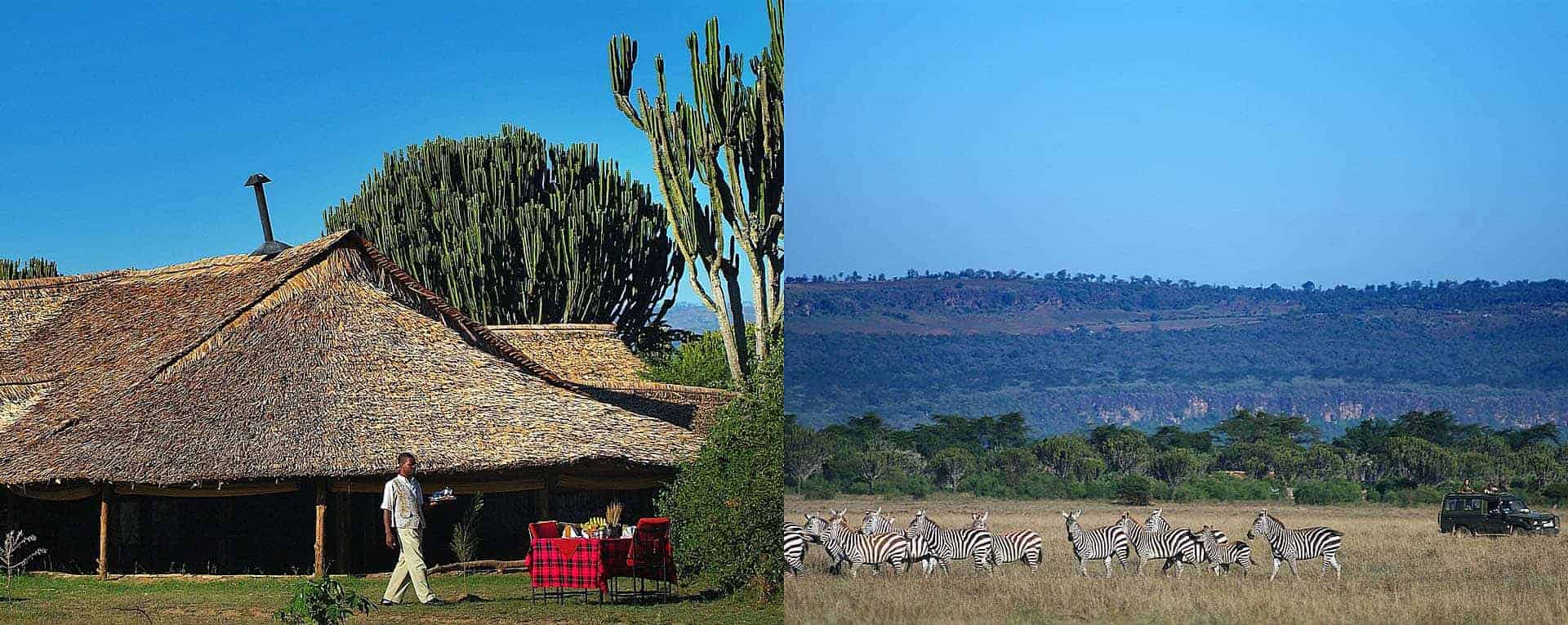 lake nakuru national park safari