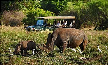 SAFARI & TOUR IN MERU PARK